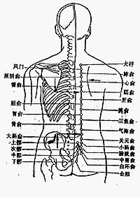 官員穴|醫砭 » 經穴庫 » 關元俞